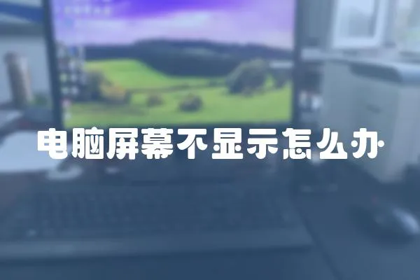 電腦屏幕不顯示怎么辦