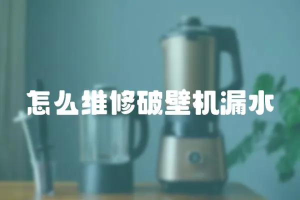 怎么維修破壁機漏水