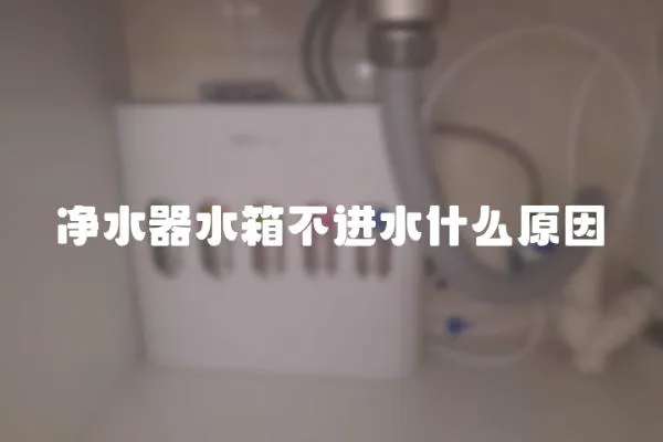 凈水器水箱不進水什么原因