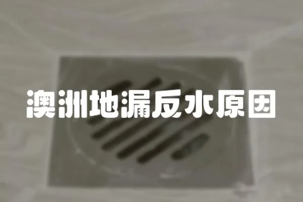 澳洲地漏反水原因