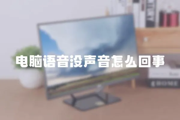 電腦語(yǔ)音沒(méi)聲音怎么回事