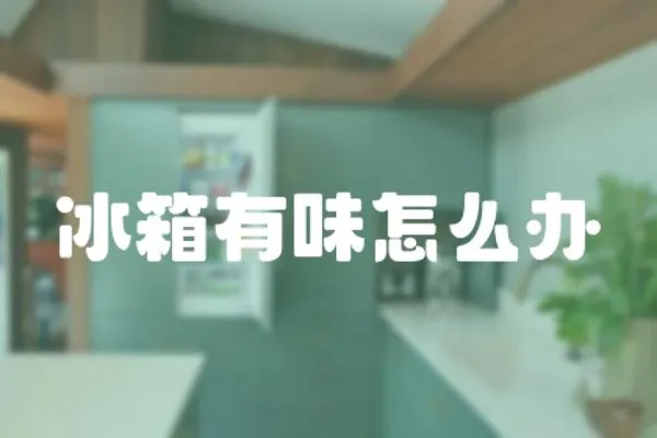 冰箱有味怎么辦