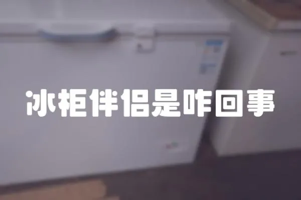 冰柜伴侶是咋回事