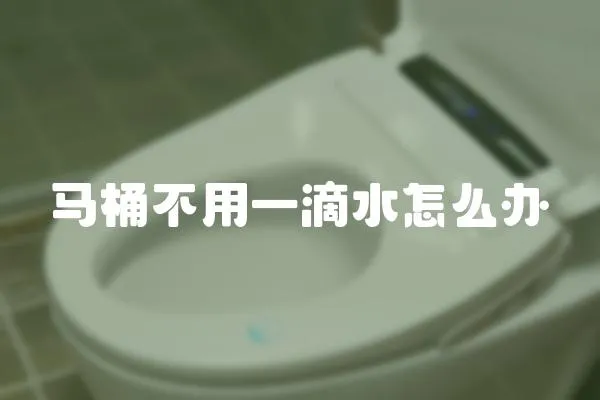 馬桶不用一滴水怎么辦