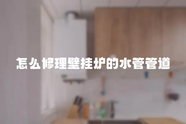 怎么修理壁掛爐的水管管道