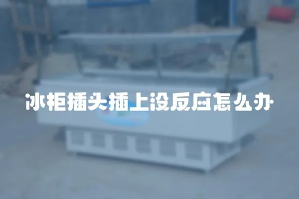 冰柜插頭插上沒反應(yīng)怎么辦