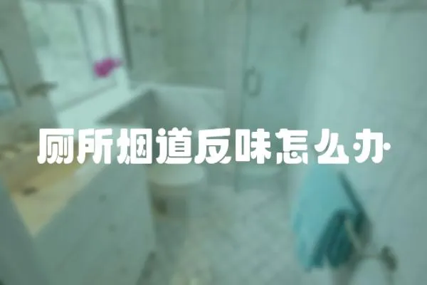 廁所煙道反味怎么辦