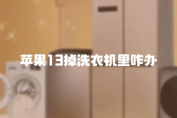 蘋果13掉洗衣機里咋辦