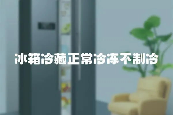 冰箱冷藏正常冷凍不制冷