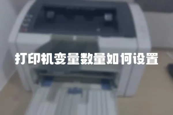 打印機變量數量如何設置
