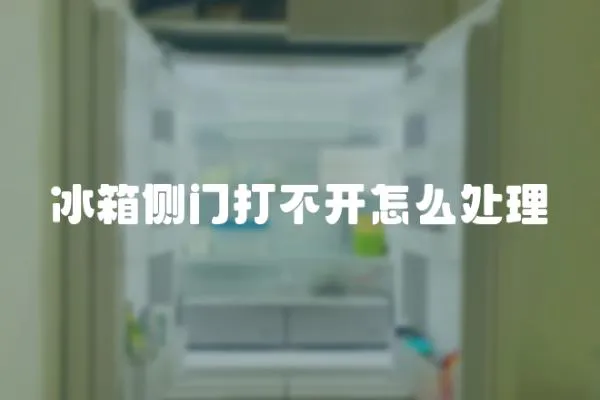 冰箱側(cè)門(mén)打不開(kāi)怎么處理