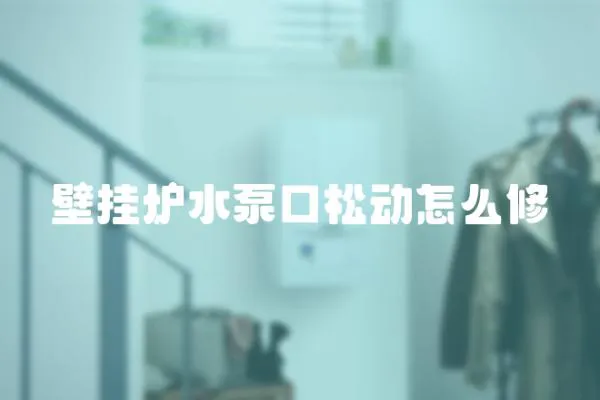 壁掛爐水泵口松動怎么修