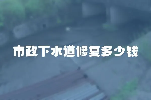 市政下水道修復多少錢