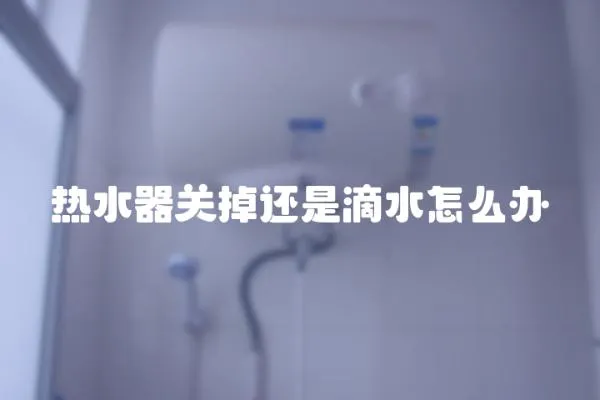 熱水器關掉還是滴水怎么辦