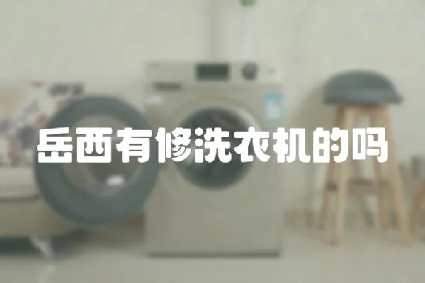 岳西有修洗衣機的嗎