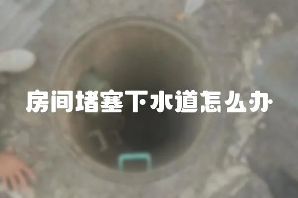 房間堵塞下水道怎么辦