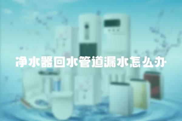 凈水器回水管道漏水怎么辦