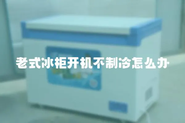 老式冰柜開機不制冷怎么辦