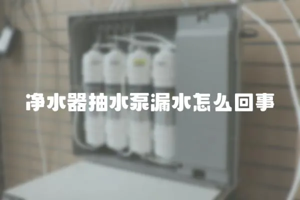 凈水器抽水泵漏水怎么回事