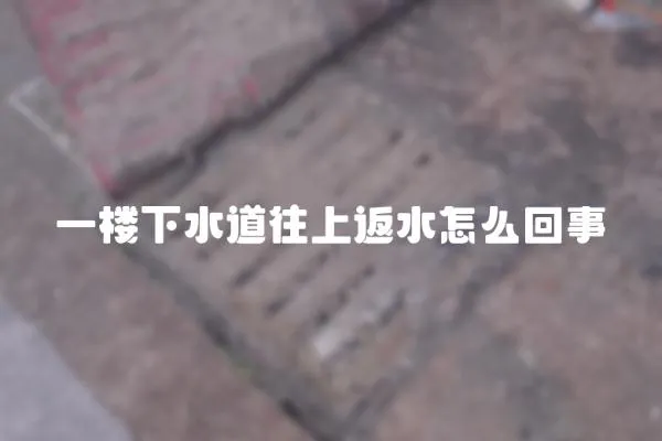 一樓下水道往上返水怎么回事
