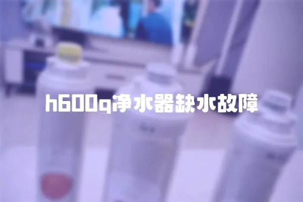 h600g凈水器缺水故障