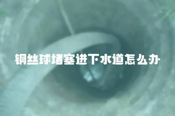 鋼絲球堵塞進下水道怎么辦
