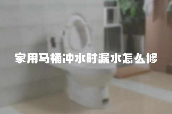 家用馬桶沖水時漏水怎么修