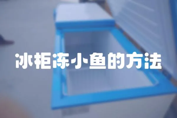冰柜凍小魚的方法