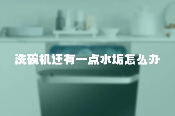 洗碗機(jī)還有一點(diǎn)水垢怎么辦