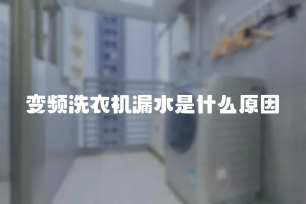變頻洗衣機(jī)漏水是什么原因