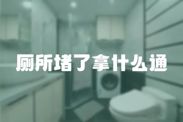 廁所堵了拿什么通