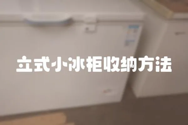 立式小冰柜收納方法