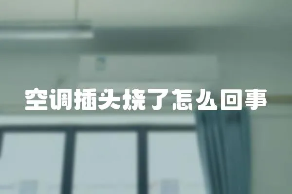 空調插頭燒了怎么回事