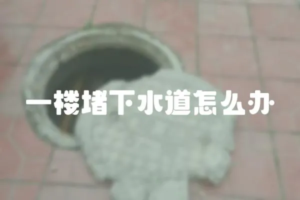 一樓堵下水道怎么辦