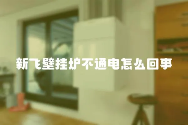 新飛壁掛爐不通電怎么回事
