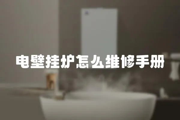 電壁掛爐怎么維修手冊