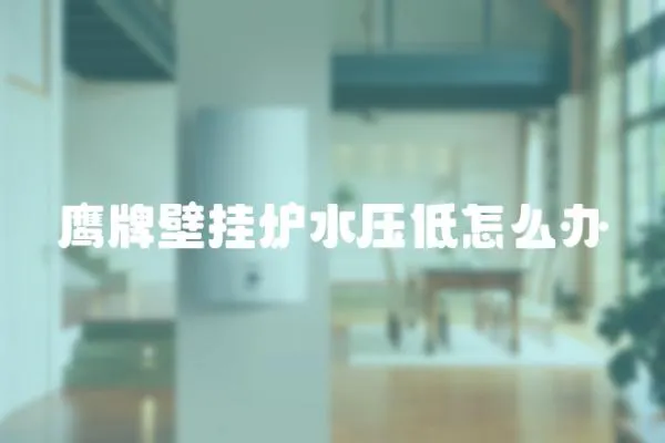 鷹牌壁掛爐水壓低怎么辦