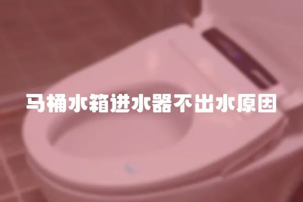 马桶水箱进水器不出水原因