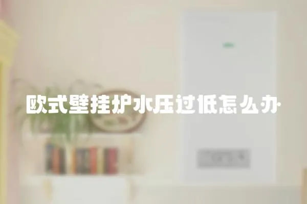 歐式壁掛爐水壓過低怎么辦