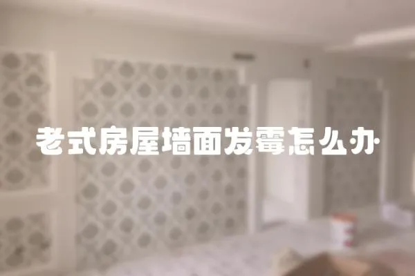 老式房屋墙面发霉怎么办