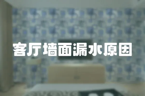 客廳墻面漏水原因
