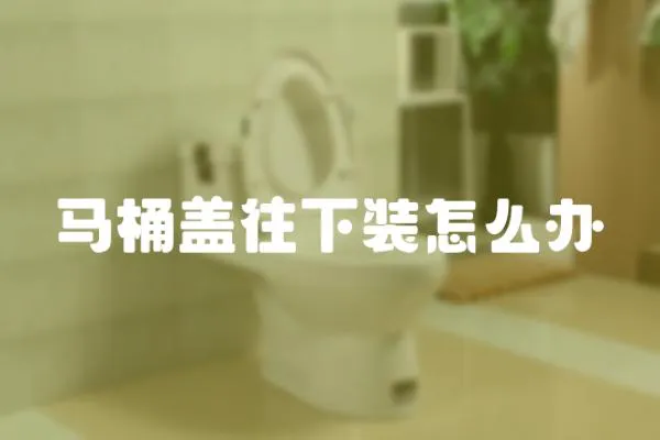 馬桶蓋往下裝怎么辦