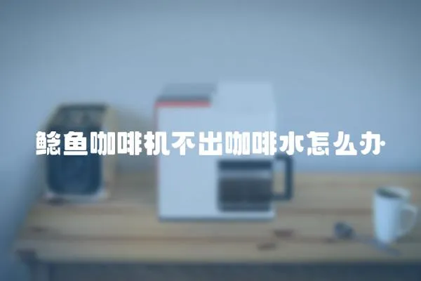 鯰魚咖啡機不出咖啡水怎么辦