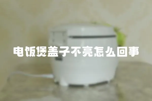 電飯煲蓋子不亮怎么回事