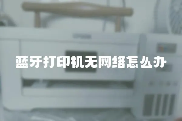 藍(lán)牙打印機(jī)無(wú)網(wǎng)絡(luò)怎么辦