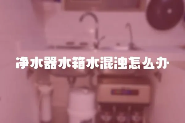 凈水器水箱水混濁怎么辦