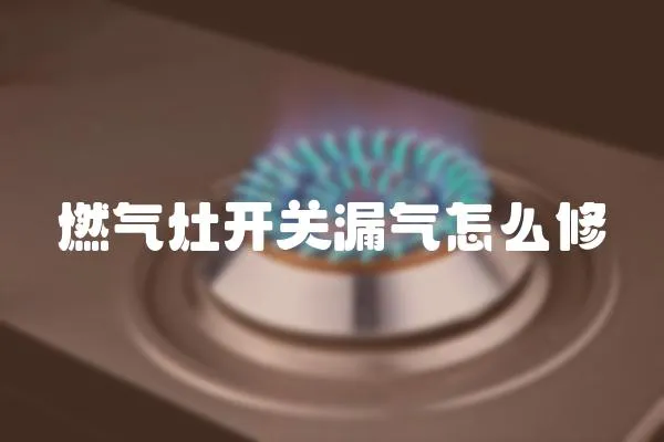 燃?xì)庠铋_關(guān)漏氣怎么修