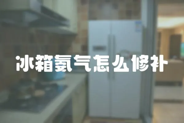冰箱氨氣怎么修補(bǔ)