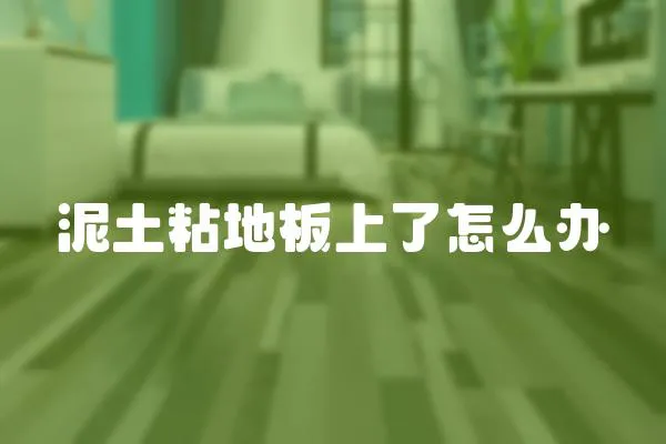 泥土粘地板上了怎么辦
