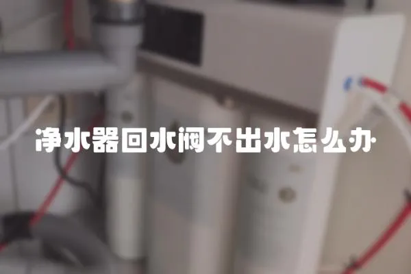 凈水器回水閥不出水怎么辦
